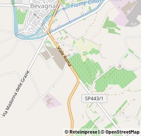 Mappa Viale Roma, 06031 Bevagna PG, Italia (0.59231)