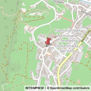 Mappa Via Julius V. Payer, 2, 39040 Termeno sulla Strada del Vino, Bolzano (Trentino-Alto Adige)