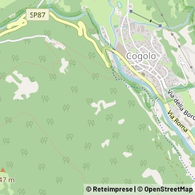 Mappa 38024