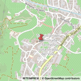 Mappa Via Hans Feur, 6, 39040 Termeno sulla Strada del Vino, Bolzano (Trentino-Alto Adige)