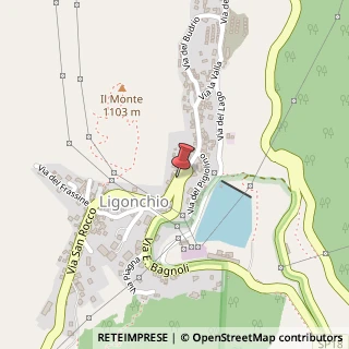Mappa Via Enzo Bagnoli,  14, 42039 Ligonchio, Reggio nell'Emilia (Emilia Romagna)
