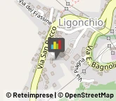 Ortofrutticoltura Ligonchio,42039Reggio nell'Emilia
