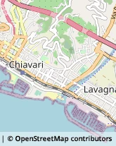 Alimentari Chiavari,16043Genova