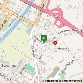 Via Rezza, 71,16033Lavagna