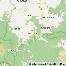 Mappa Ligonchio
