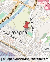 Via Natale Paggi, 73,16033Lavagna