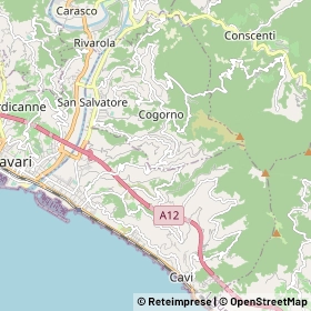 Mappa Cogorno