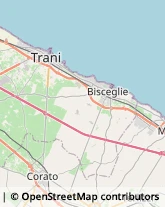 Brokers e Agenti di Assicurazione Trani,76125Barletta-Andria-Trani