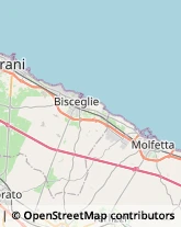 Occhiali - Produzione e Ingrosso Molfetta,70056Bari