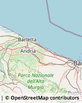 Maglieria - Produzione Barletta,76121Barletta-Andria-Trani