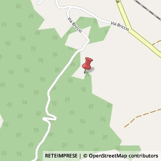 Mappa Via Briccio, 27, 81012 Alvignano, Caserta (Campania)