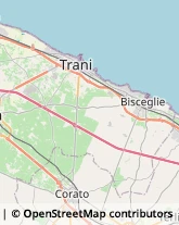 Enoteche Bisceglie,76011Barletta-Andria-Trani