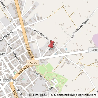 Mappa Via Primo Levi, 18, 73031 Alessano, Lecce (Puglia)