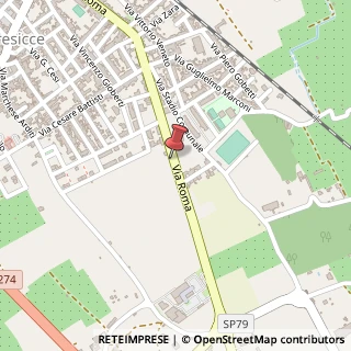 Mappa Via Roma, 318, 73054 Presicce, Lecce (Puglia)