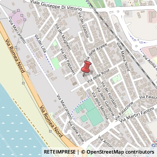 Mappa Via dei Papaveri, 35, 48015 Cervia, Ravenna (Emilia Romagna)