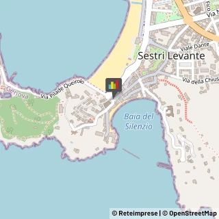 Caccia e Pesca Articoli - Dettaglio Sestri Levante,16039Genova