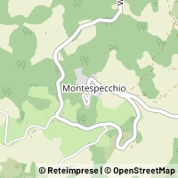 Peta Montese