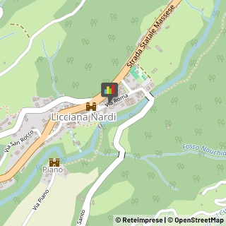 Odontoiatri e Dentisti - Medici Chirurghi,54016Massa-Carrara