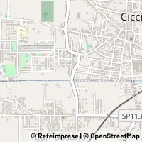 Map Cicciano