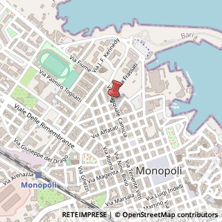Mappa Via Pasquale Camicia, 78, 70043 Monopoli, Bari (Puglia)