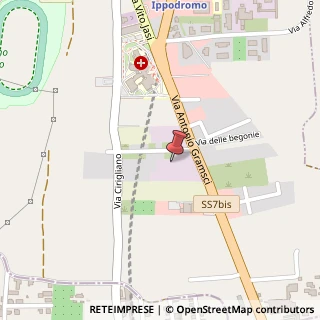 Mappa Via Antonio Gramsci, 20, 80131 Aversa, Caserta (Campania)