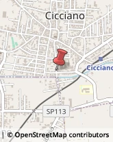 Via Nola, 90,80033Cicciano