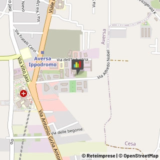 Scuole Pubbliche,81031Caserta