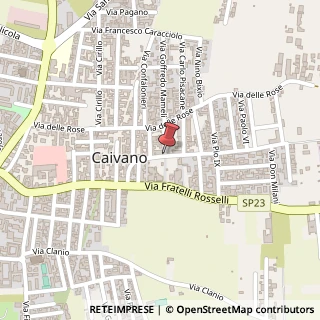 Mappa Via Luigi Settembrini,  25, 80021 Caivano, Napoli (Campania)