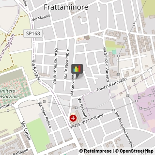 Bandiere e Stendardi Frattaminore,80020Napoli