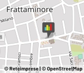 Piante e Fiori - Dettaglio,80020Napoli