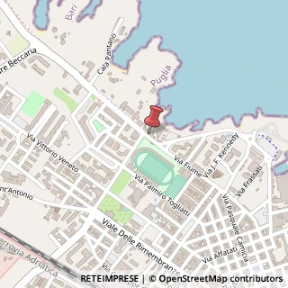 Mappa Via Fiume, 49, 70043 Monopoli, Bari (Puglia)