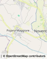 Arredamento - Vendita al Dettaglio Pojana Maggiore,36026Vicenza