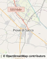 Aziende Agricole Piove di Sacco,35028Padova