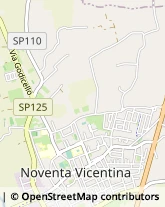 Via Carlo Porta, 86,36025Noventa Vicentina