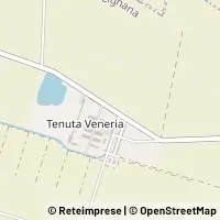 Carte Lignana
