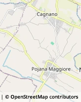 Aziende Agricole Pojana Maggiore,36025Vicenza