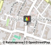 Consulenza di Direzione ed Organizzazione Aziendale Pojana Maggiore,36026Vicenza