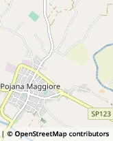 Via Ponte Novo, 43,36026Pojana Maggiore