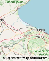 Spezie Barletta,76121Barletta-Andria-Trani