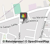 Palestre e Centri Fitness,66050Chieti