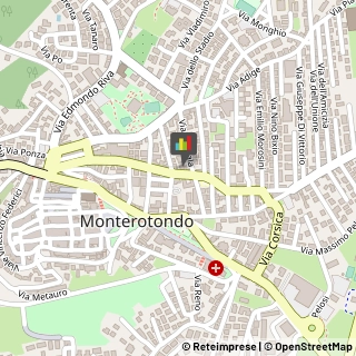 Fisiokinesiterapia - Medici Specialisti,00015Roma