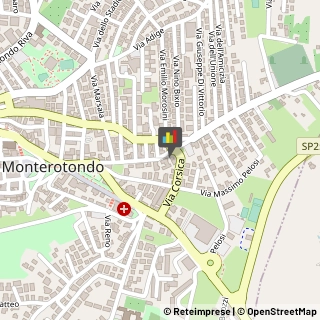 Fisiokinesiterapia - Medici Specialisti,00015Roma