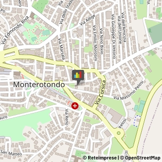 Licei - Scuole Private,00015Roma