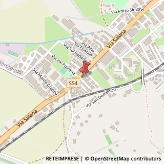 Mappa Via Salaria, n° 253, 00015 Monterotondo, Roma (Lazio)