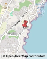 Via Posillipo, 123,80100Napoli