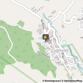 Macellerie Caposele,83040Avellino