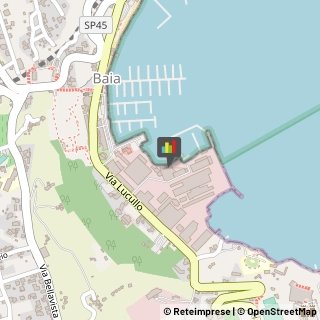 Pesce - Lavorazione e Commercio,80070Napoli