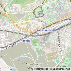 Mappa 80124