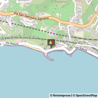 Discoteche - Locali e Ritrovi,80078Napoli