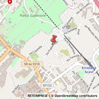Mappa Via Pugliano,  102, 80056 Ercolano, Napoli (Campania)